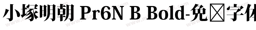 小塚明朝 Pr6N B Bold字体转换